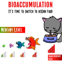 Avoid Toxins from Bioaccumulation with vegan cat & dog food