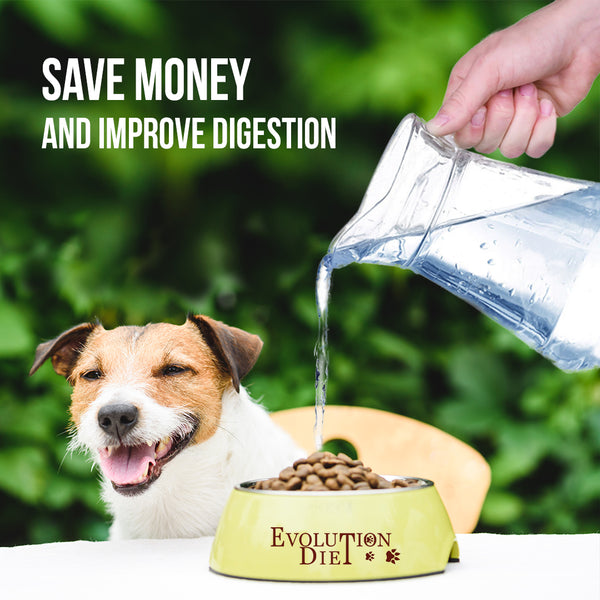 Moist Kibble for Better Health Evolution Diet