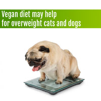 Vegan diet may be the solution for overweight Cats and Dogs