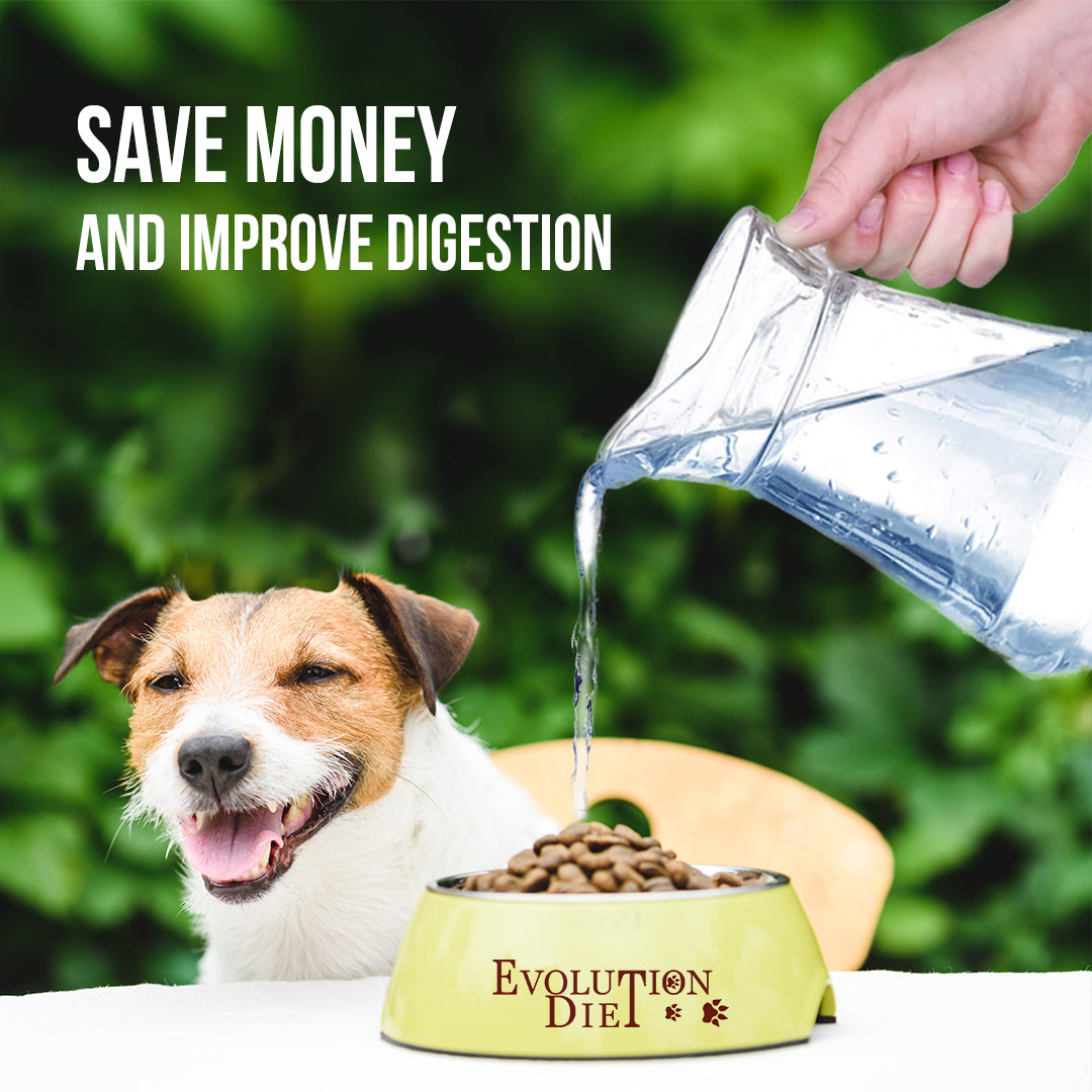 Moist Kibble for Better Health