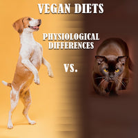 CATS AND DOGS CAN BE VEGAN DESPITE THEIR DIFFERENCES