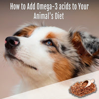 How to Add Omega-3 acids to Your Animal's Diet