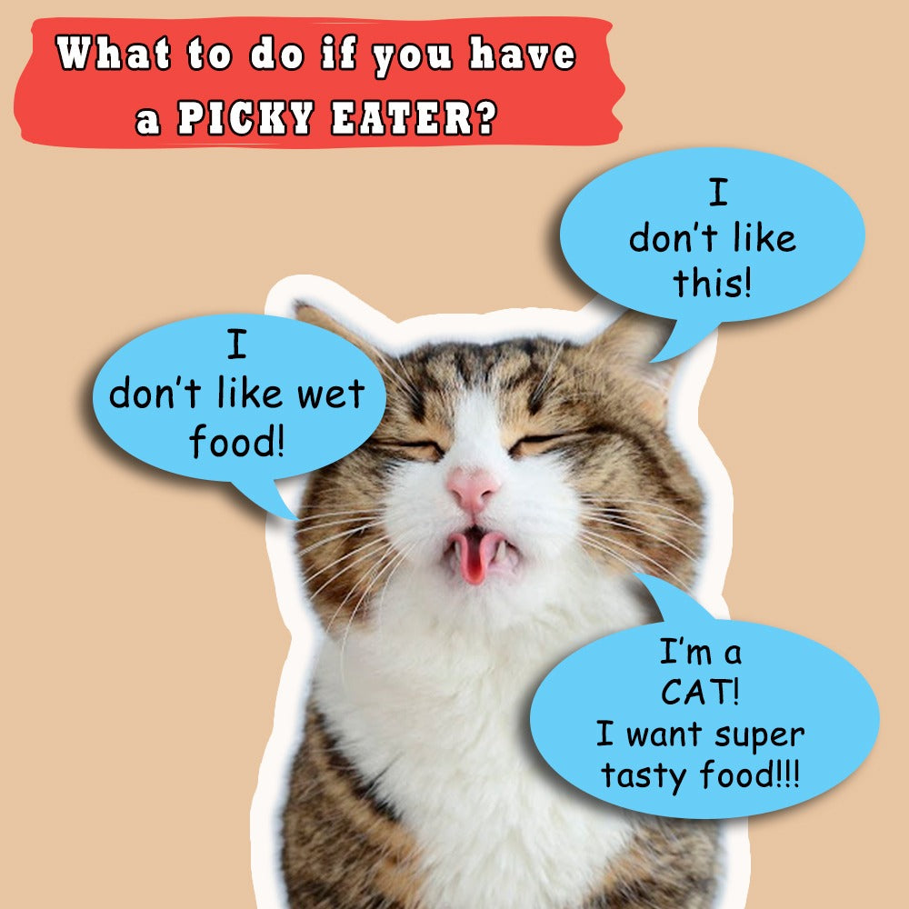 Nutritional Yeast: When Your Cat is a Picky Eater